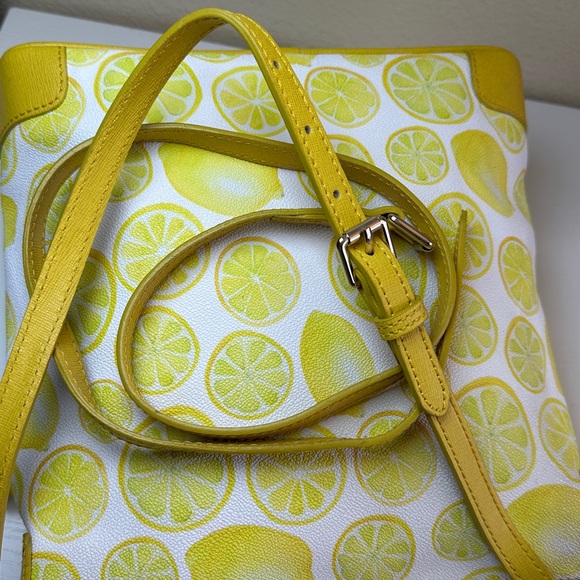 LIKE NEW Dooney & Bourke Citrus Delight Crossbody / Shoulder Bag with strap - Picture 7 of 13